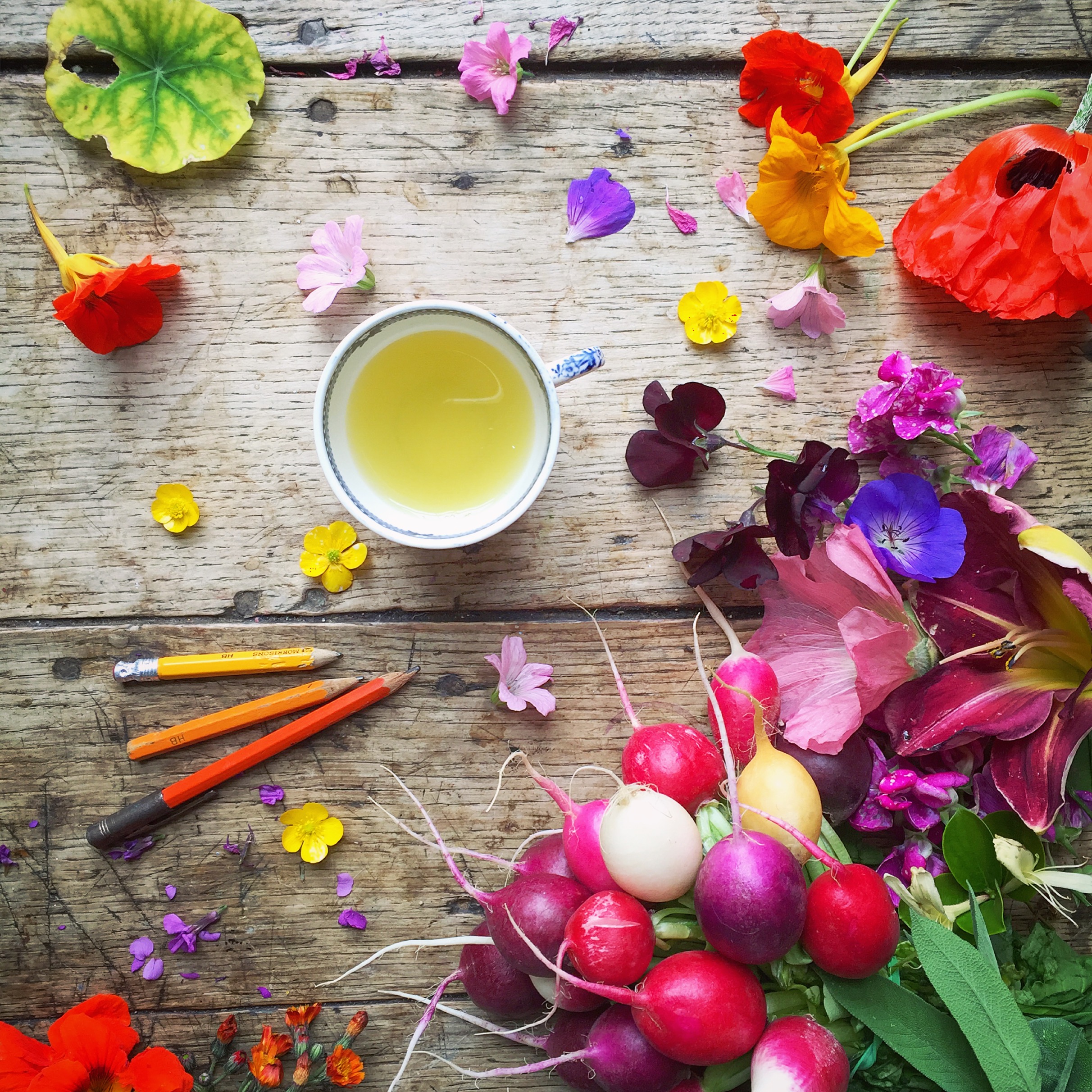 Radishes and flowers