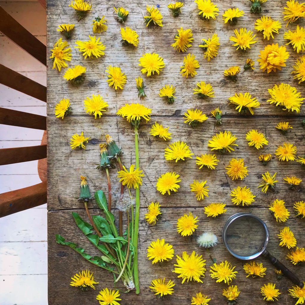 yellow flowers